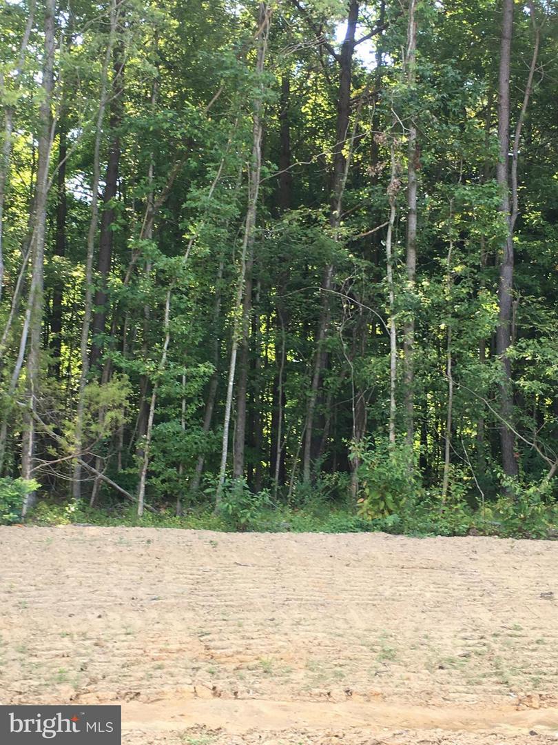 7351 Spring Hill Ct Property Photo 2