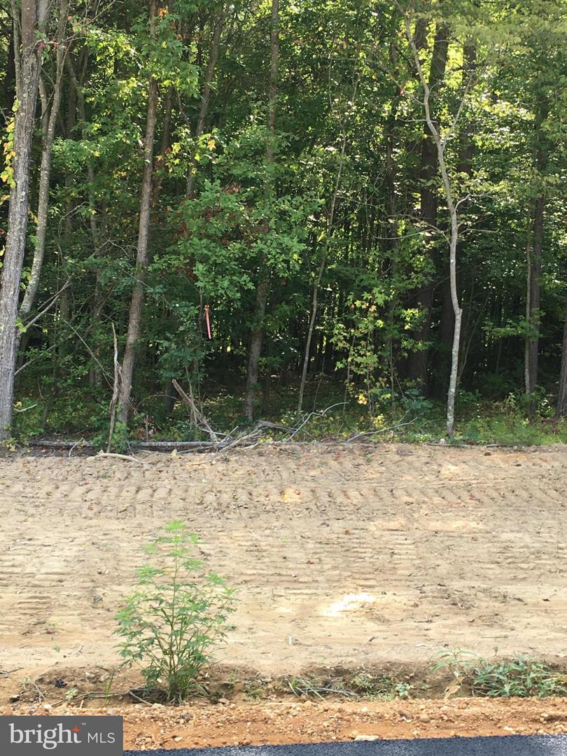 7351 Spring Hill Ct Property Photo 3