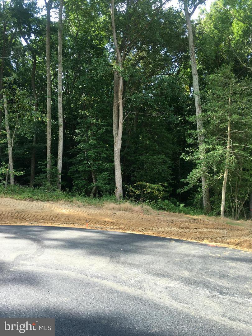 7351 Spring Hill Ct Property Photo 10