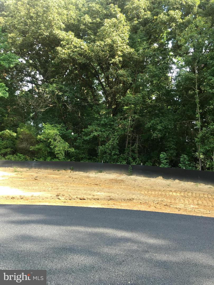 7351 Spring Hill Ct Property Photo 14