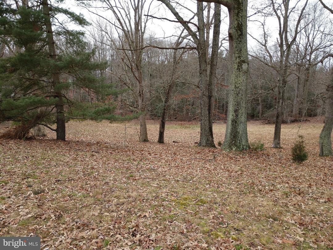 10015 H.g. Trueman Road Property Photo 5