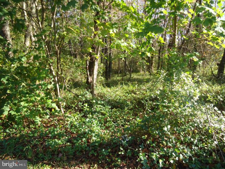 752 Yorketown Rd Property Photo 3
