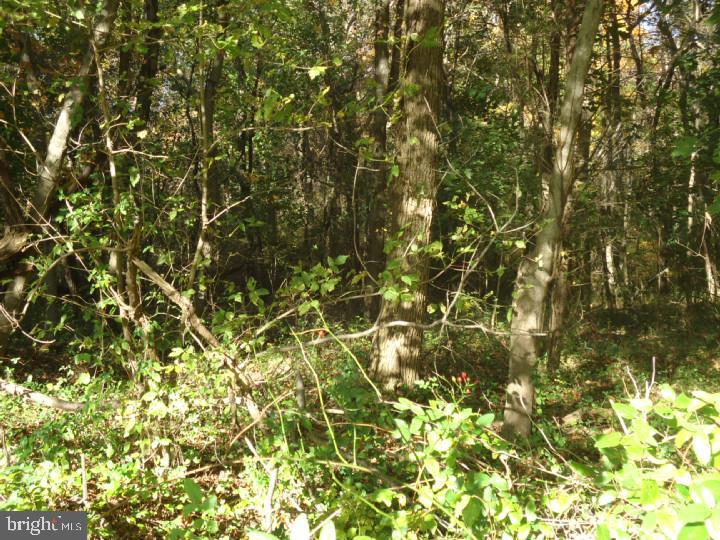 752 Yorketown Rd Property Photo 5