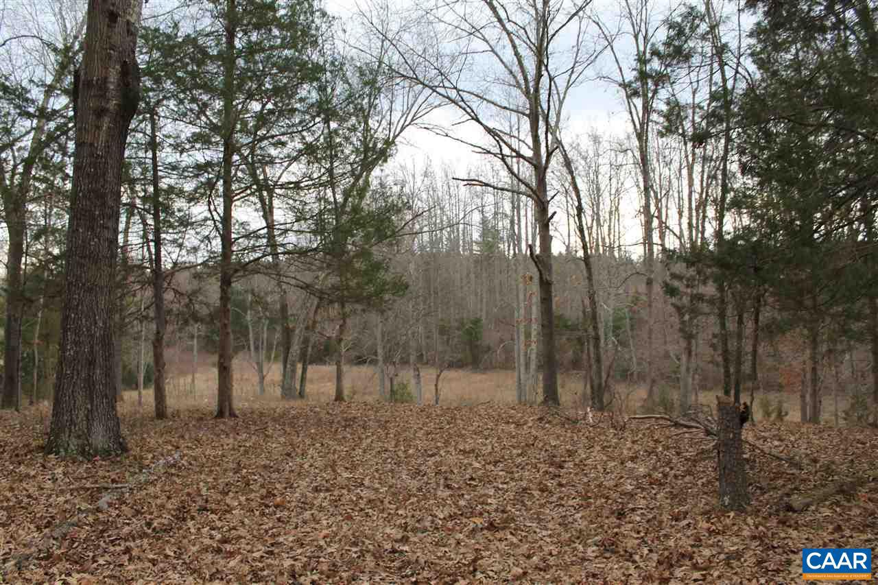 19 Langdon Woods Dr Property Photo 6