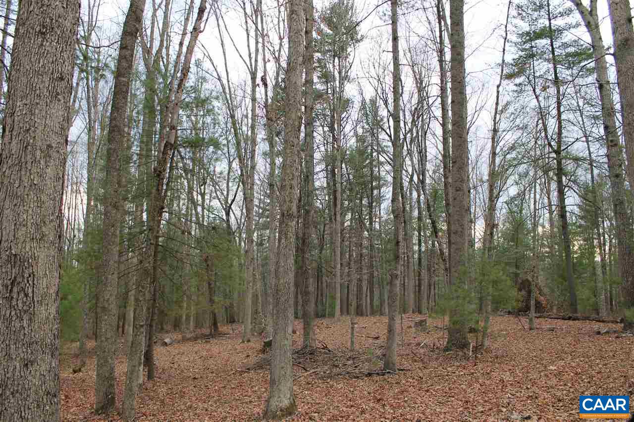 19 Langdon Woods Dr Property Photo 12