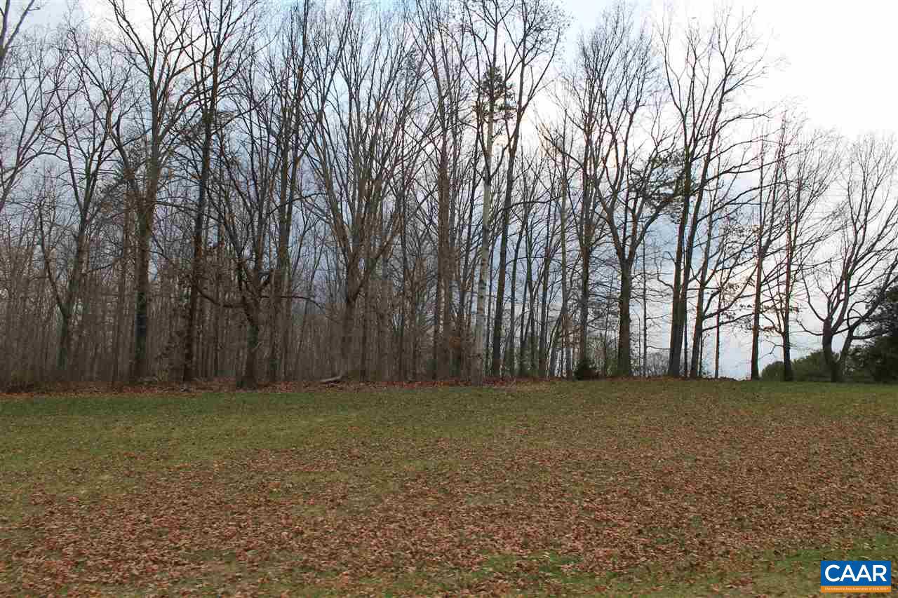19 Langdon Woods Dr Property Photo 15