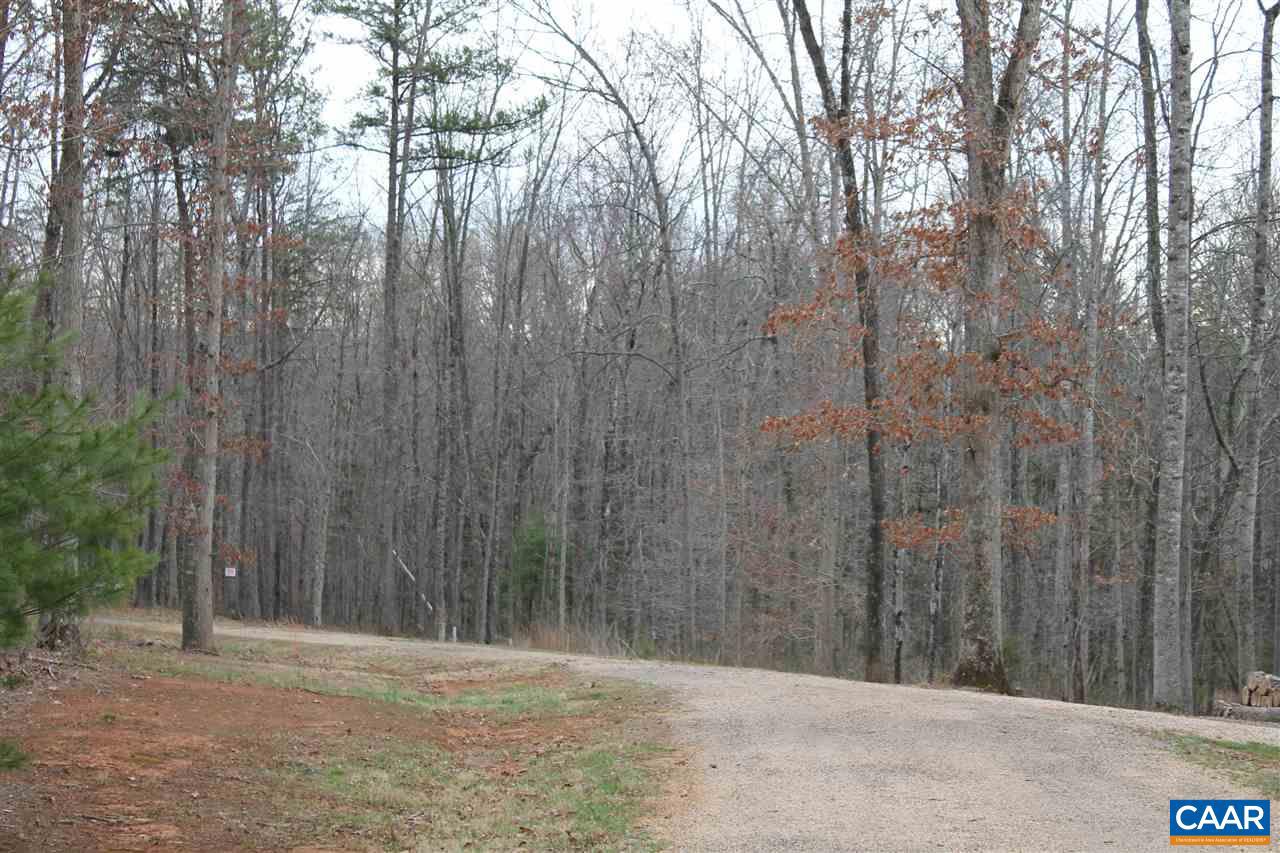 19 Langdon Woods Dr Property Photo 16