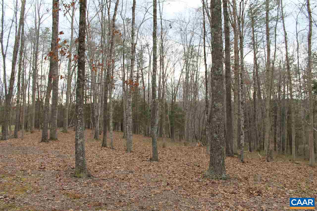 19 Langdon Woods Dr Property Photo 17
