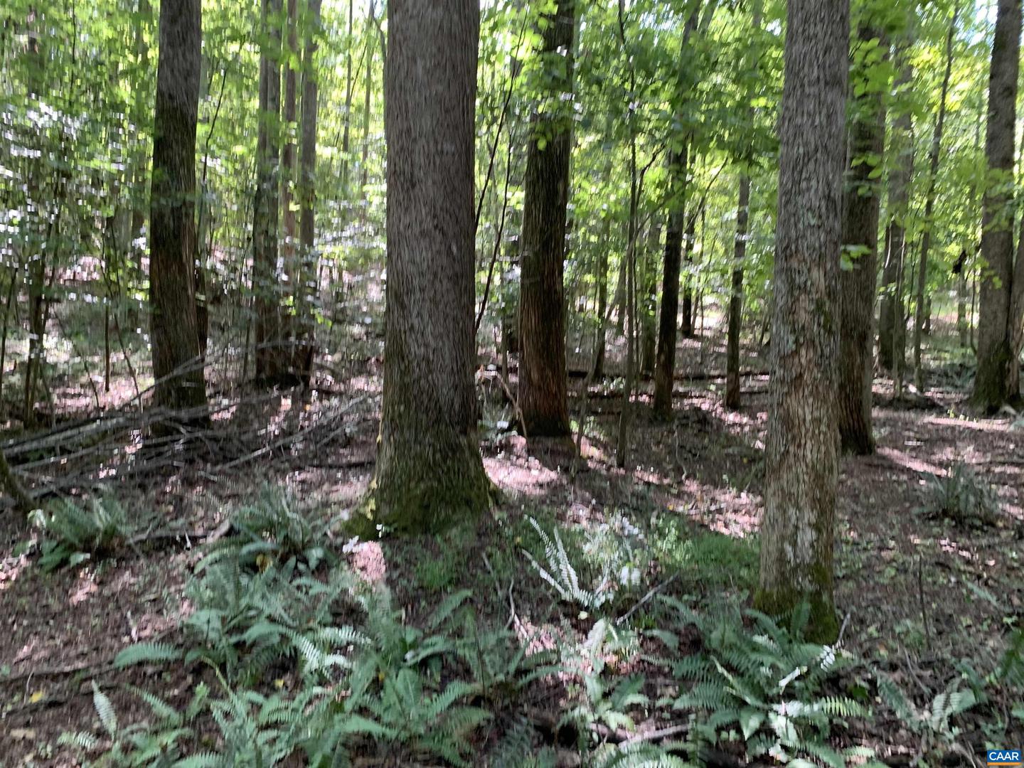 Lot 5 Green Creek Rd Property Photo 1