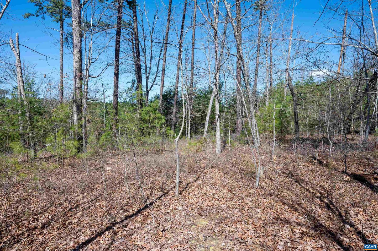 Tbd Palmer Dr Property Photo 13