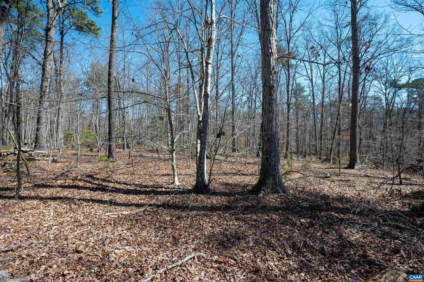 Tbd Palmer Dr Property Photo 14