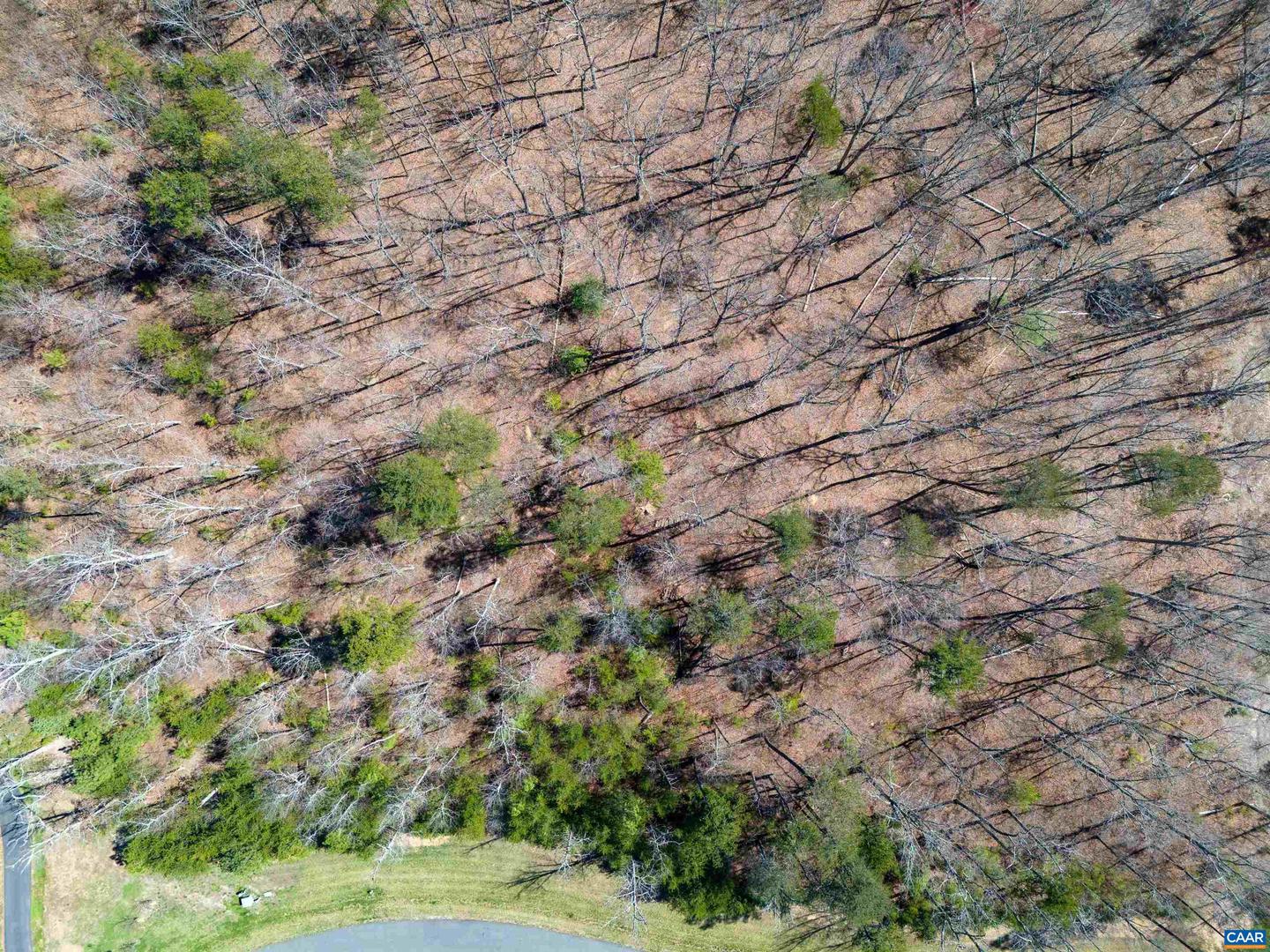 Tbd Palmer Dr Property Photo 16
