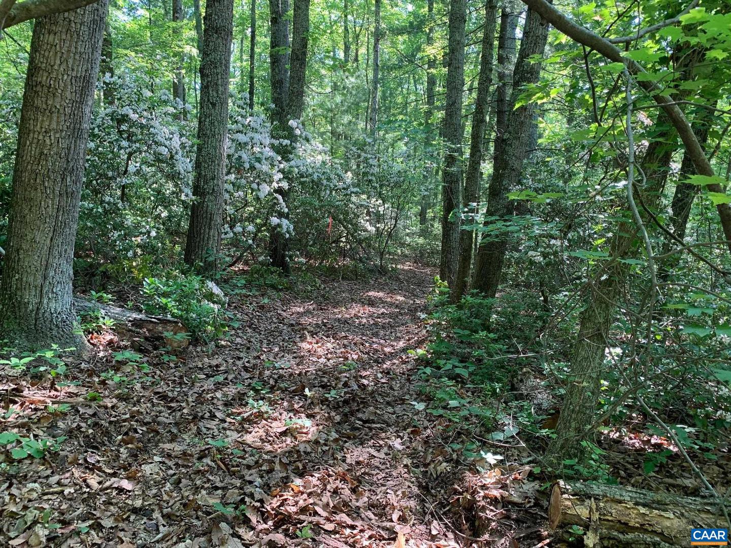 Tm 23-76 Arrington Mountain Rd #76 Property Photo