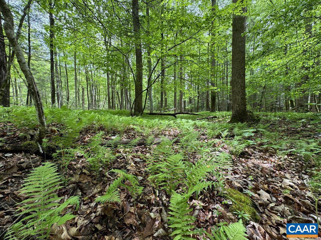Tbd Starey Draft Ln Property Photo 10