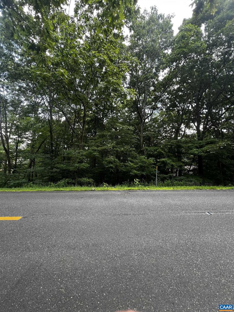 Tbd Shamokin Springs Trl #155 Chestnut Springs Property Photo 4