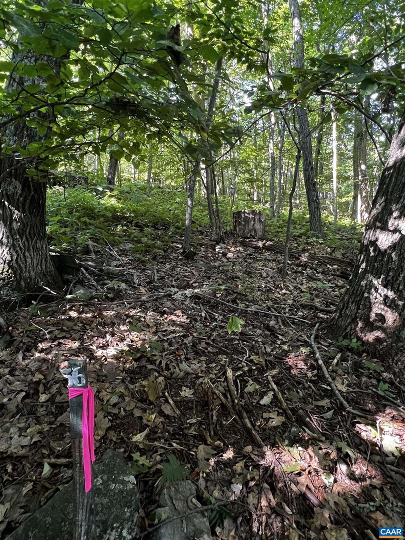 Tbd Shamokin Springs Trl #155 Chestnut Springs Property Photo 8