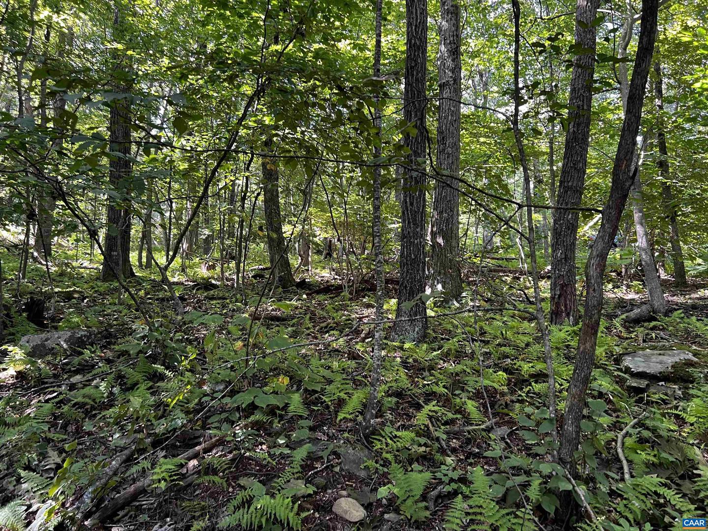 Tbd Shamokin Springs Trl #155 Chestnut Springs Property Photo 10