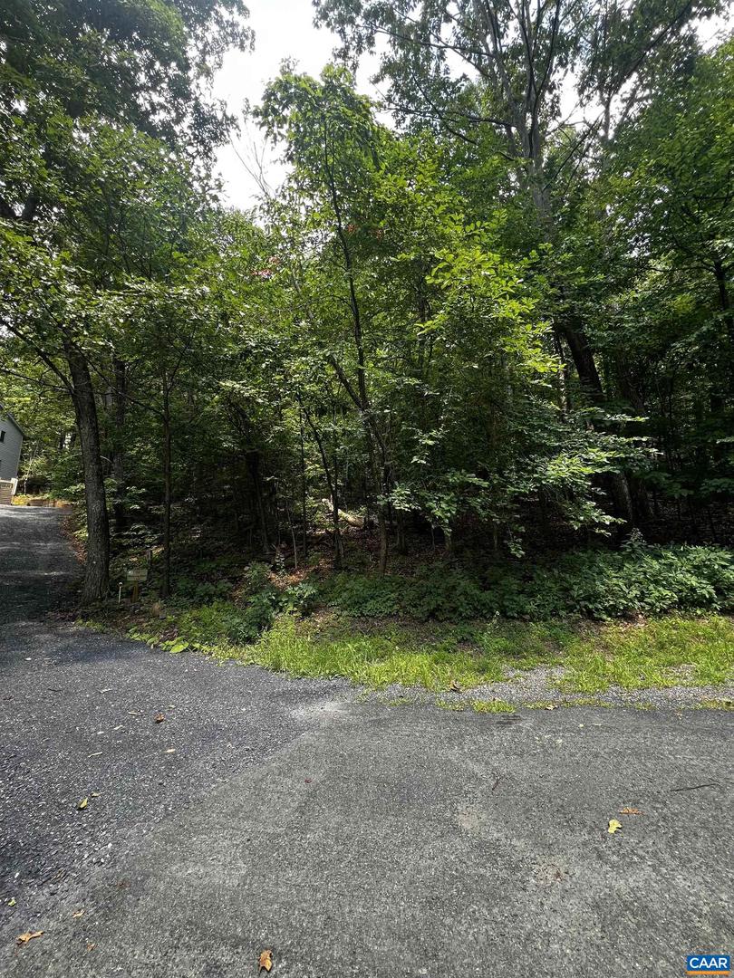 Tbd Weeping Rock Ln #35 Laurel Springs Property Photo 1