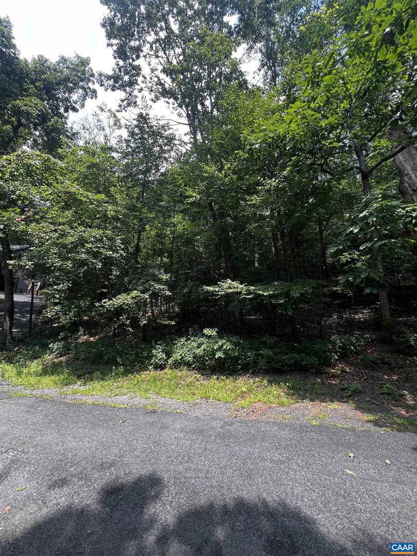 Tbd Weeping Rock Ln #35 Laurel Springs Property Photo 2