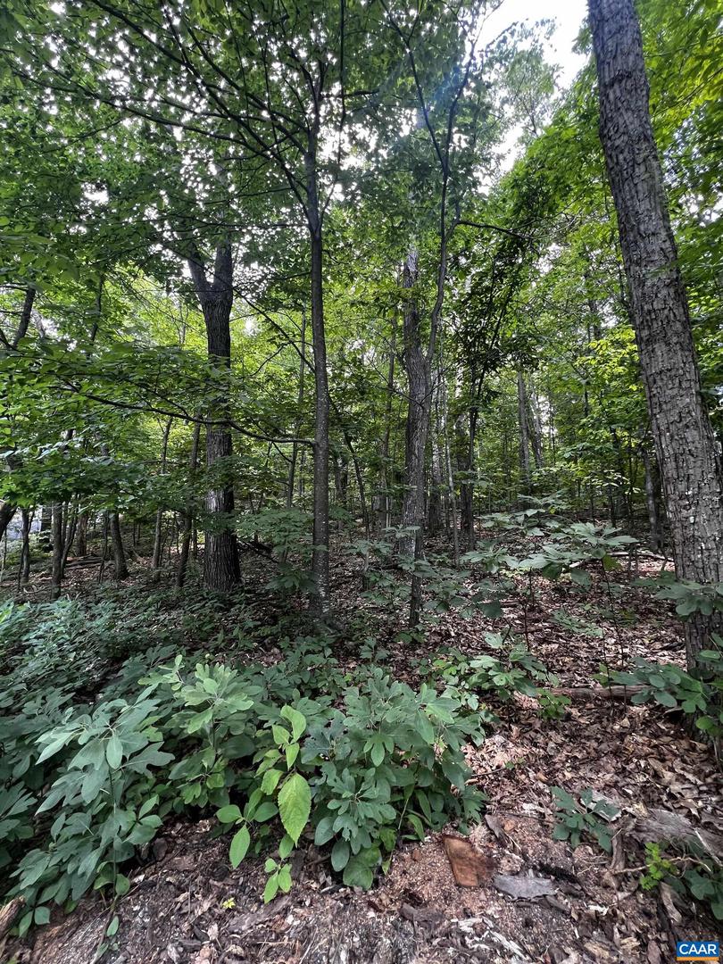 Tbd Weeping Rock Ln #35 Laurel Springs Property Photo 3