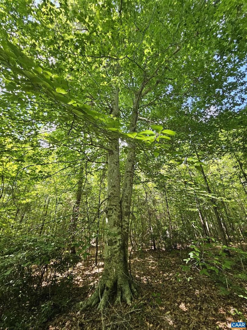 Tbd W James Anderson Hwy Property Photo