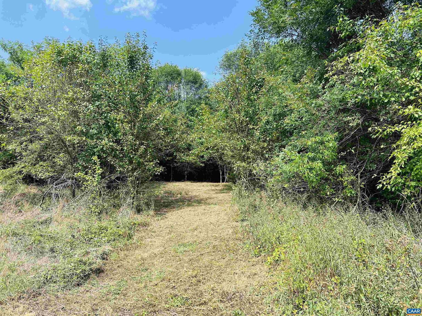 Tbd Kiddsville Rd Property Photo 1