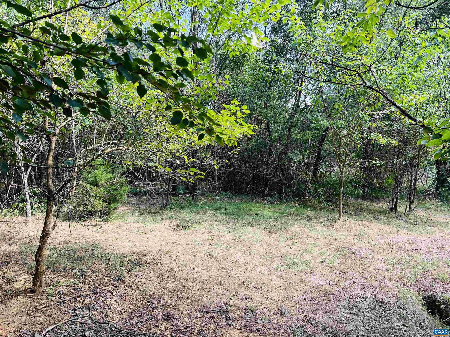 Tbd Kiddsville Rd Property Photo 12