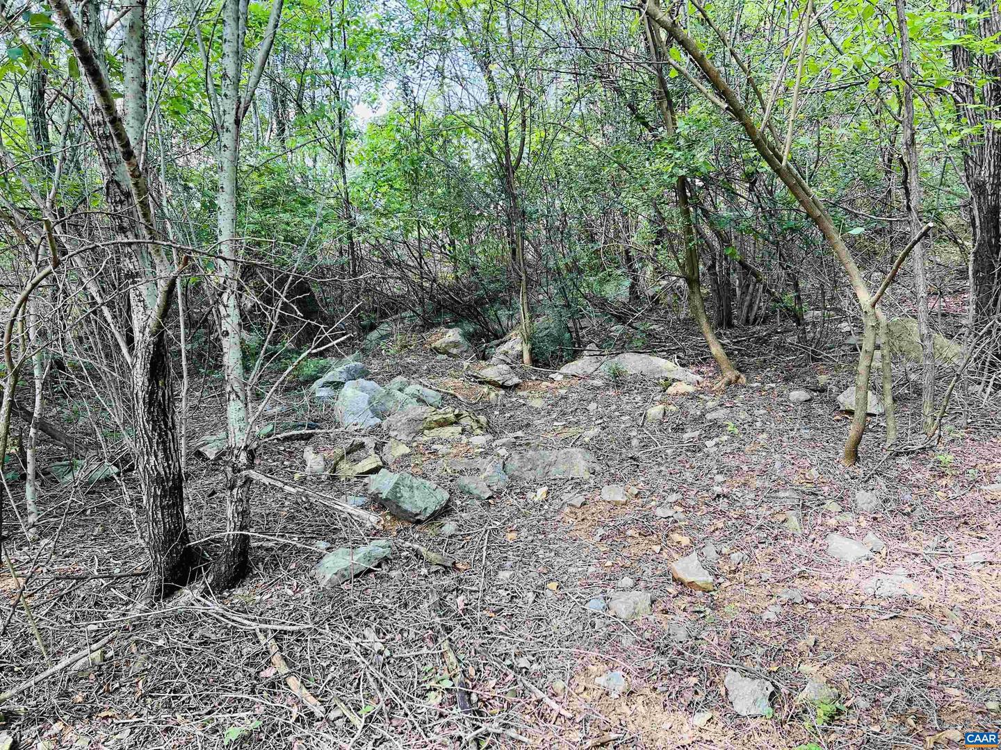 Tbd Kiddsville Rd Property Photo 13