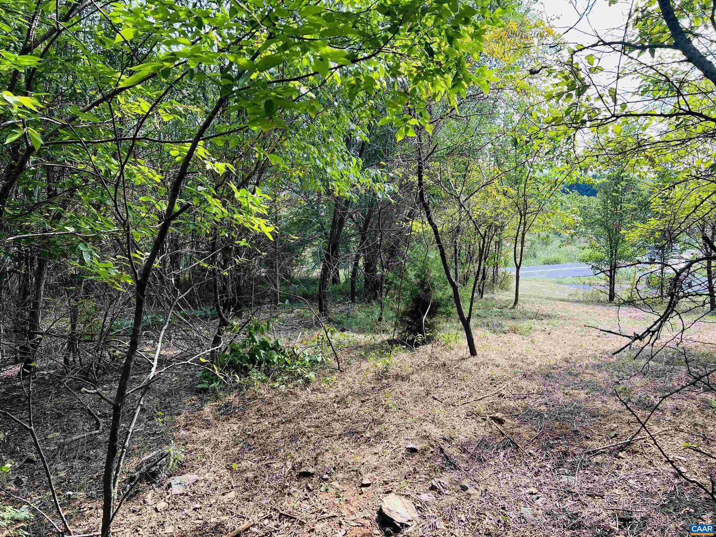 Tbd Kiddsville Rd Property Photo 14