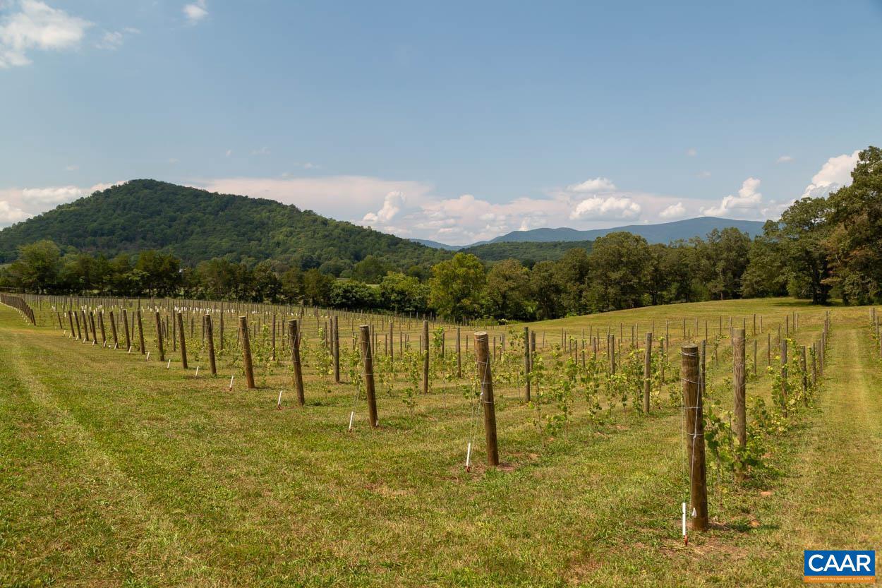 56 A 9b & 9c Sylvia Ridge Rd #greene County Tax Ma Property Photo 42