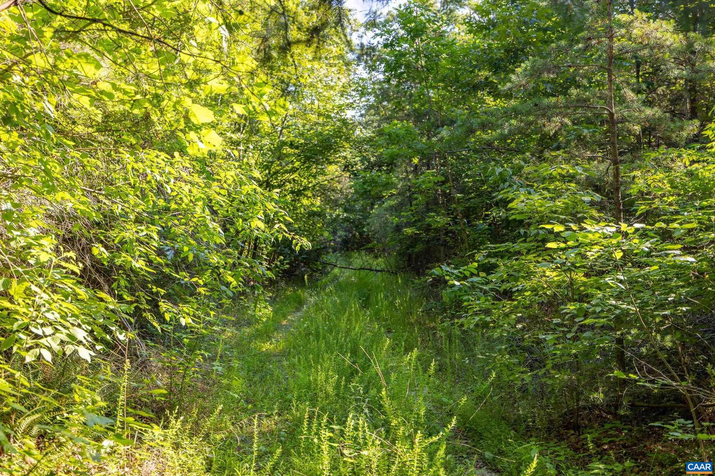 Lot 1 Stag Rd Property Photo 8