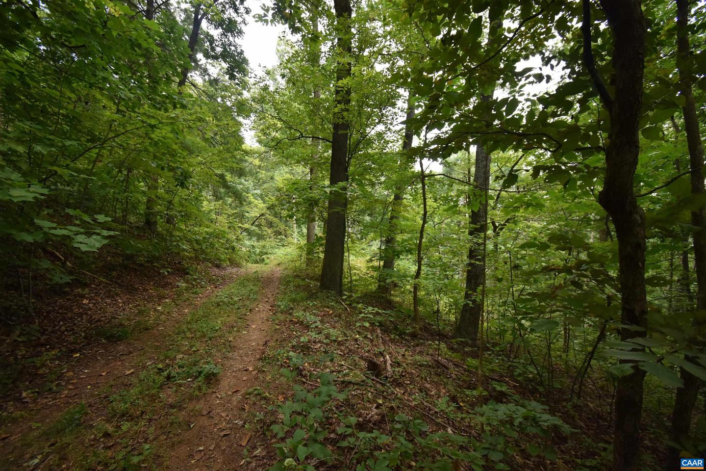 12 Old Mountain Rd #12 Property Photo 2