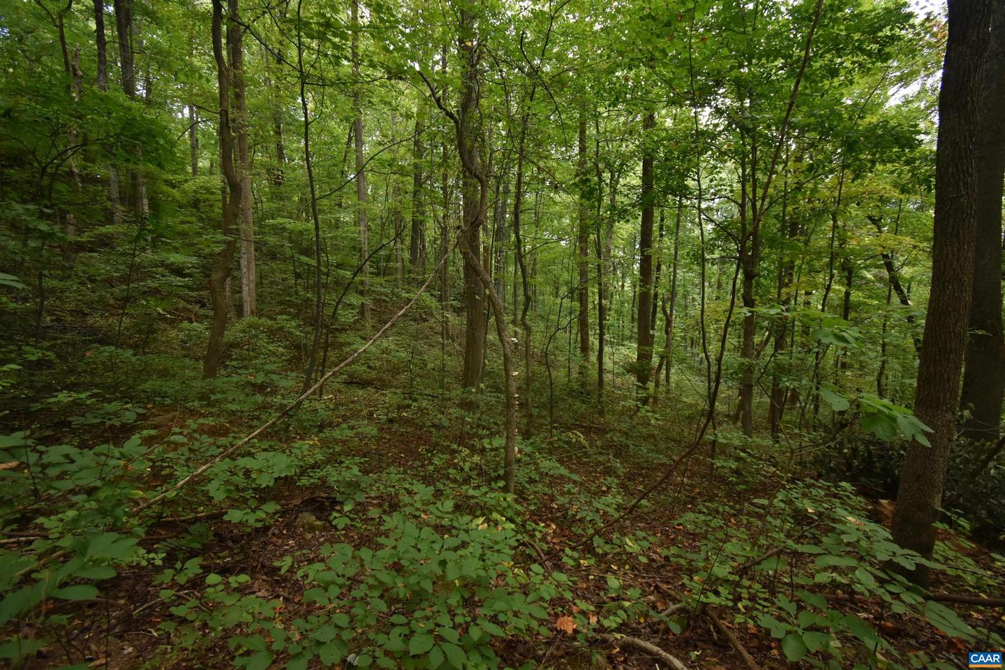 12 Old Mountain Rd #12 Property Photo 3