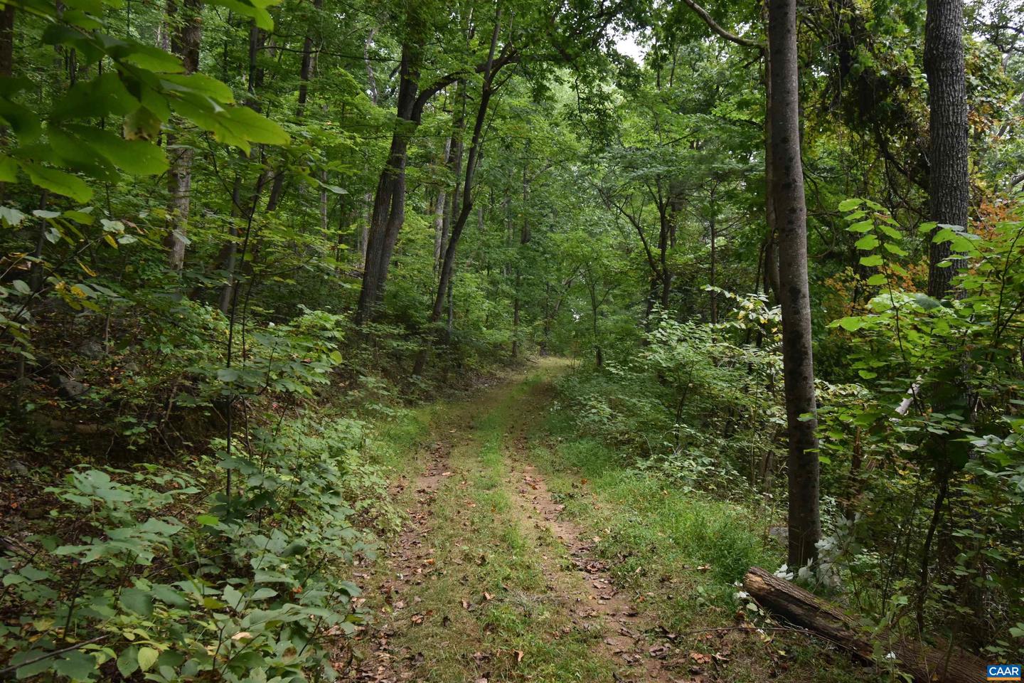 12 Old Mountain Rd #12 Property Photo 11