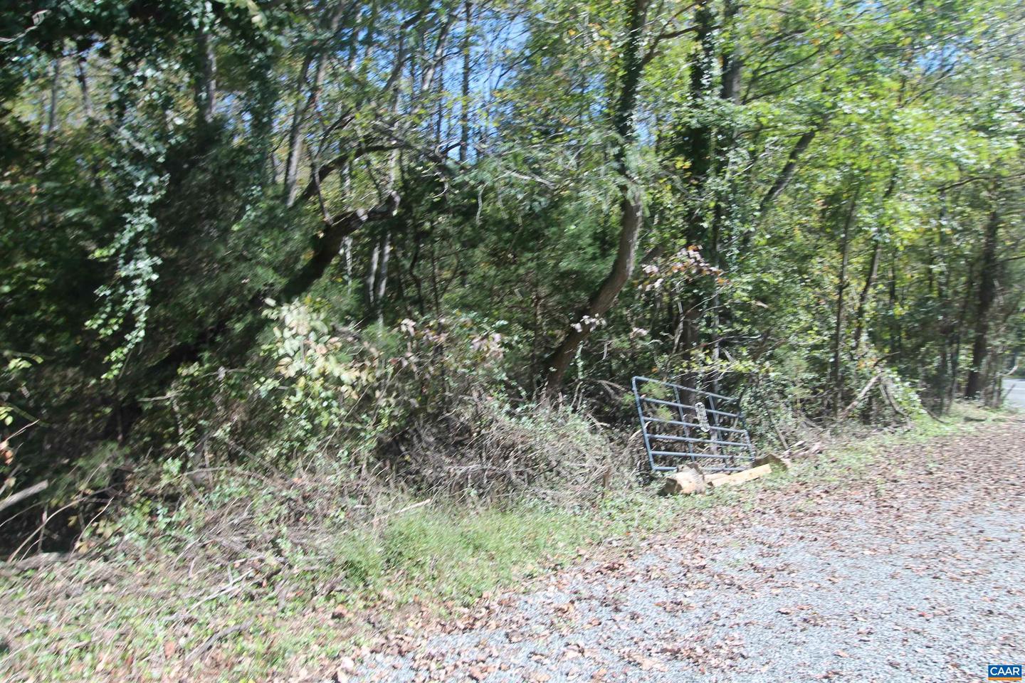Tbd Toco Hl #020b0 Property Photo