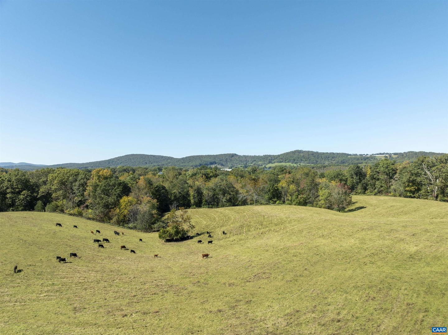 14560 Madison Run Rd Property Photo