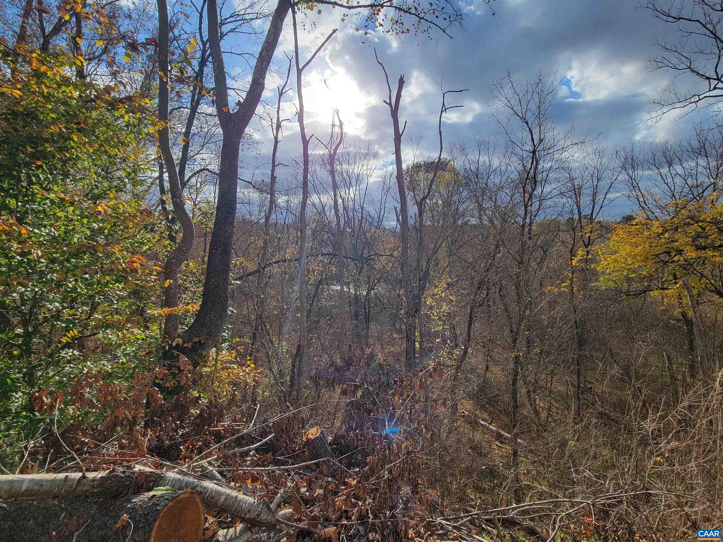 13298 James Madison Hwy Property Photo 54