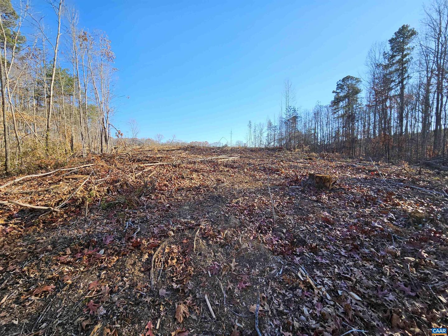 Tbd Shelton Store Rd Property Photo 1