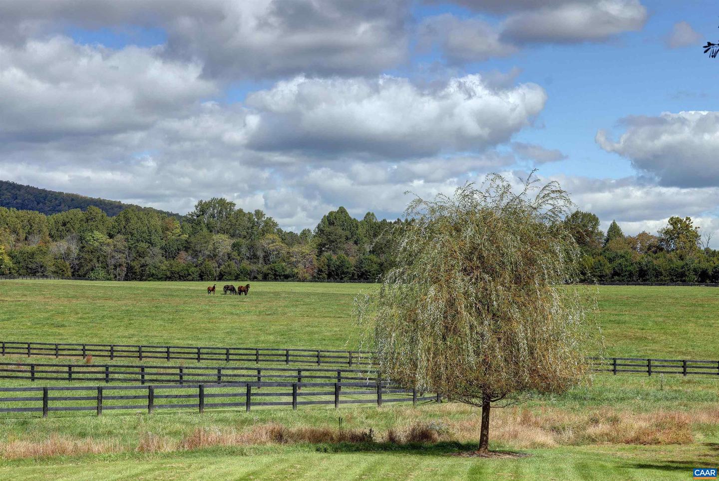 2262 Old Keswick Farm Property Photo 27