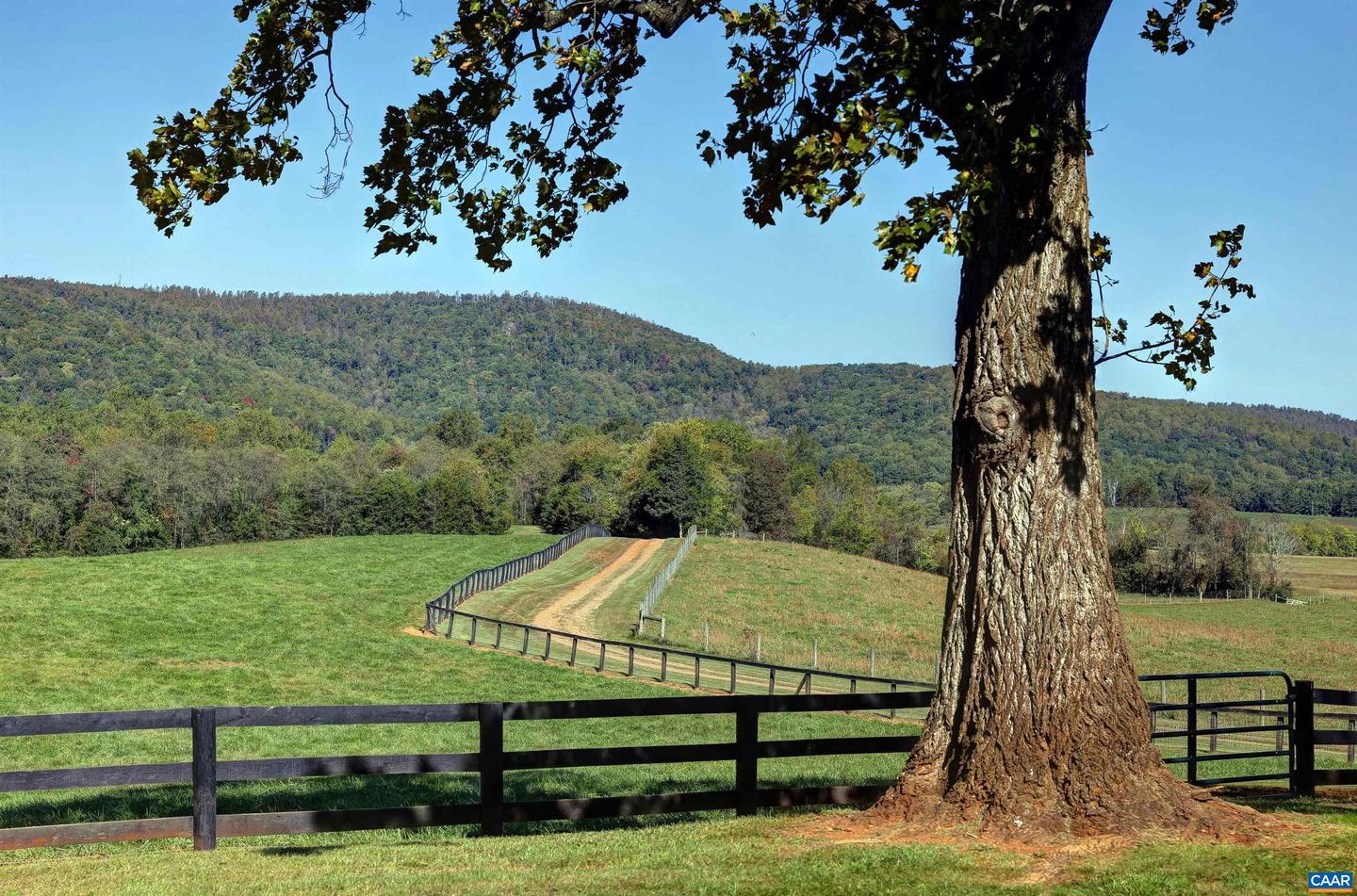 2262 Old Keswick Farm Property Photo 30