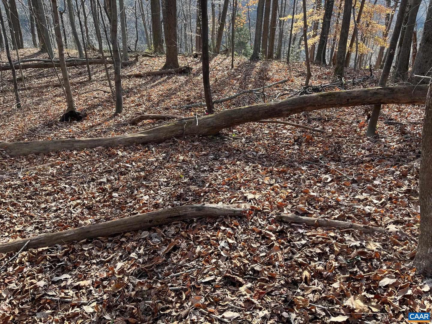 MONACAN TRAIL RD