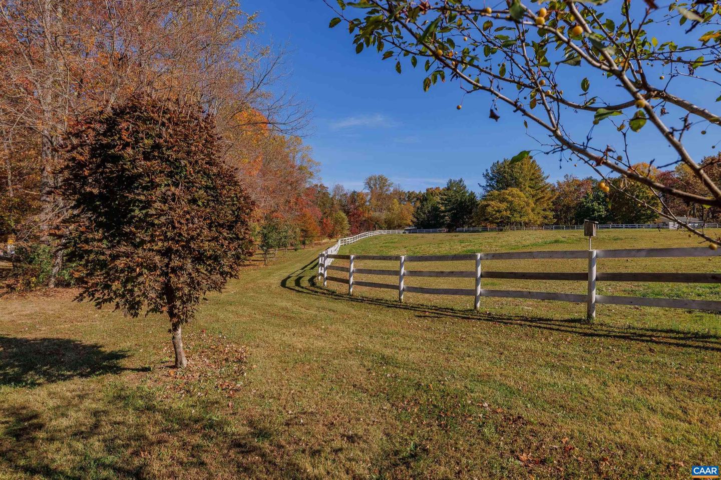 575 Teel Mountain Rd Property Photo 72