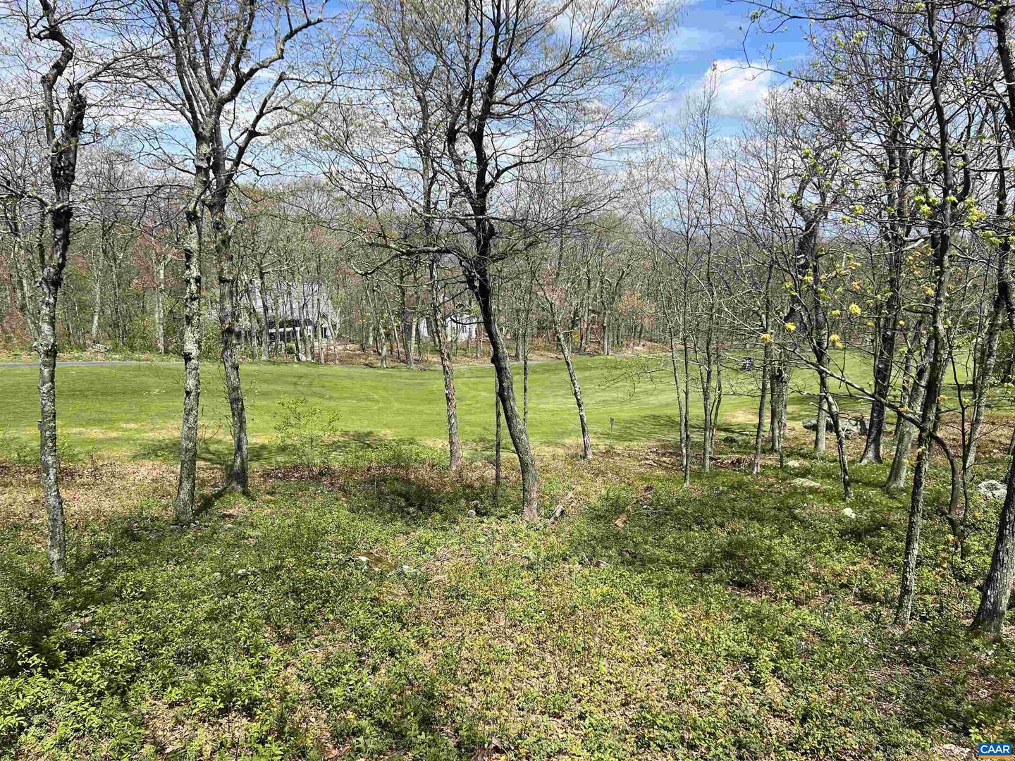 1023 Devils Knob Loop Property Photo 45