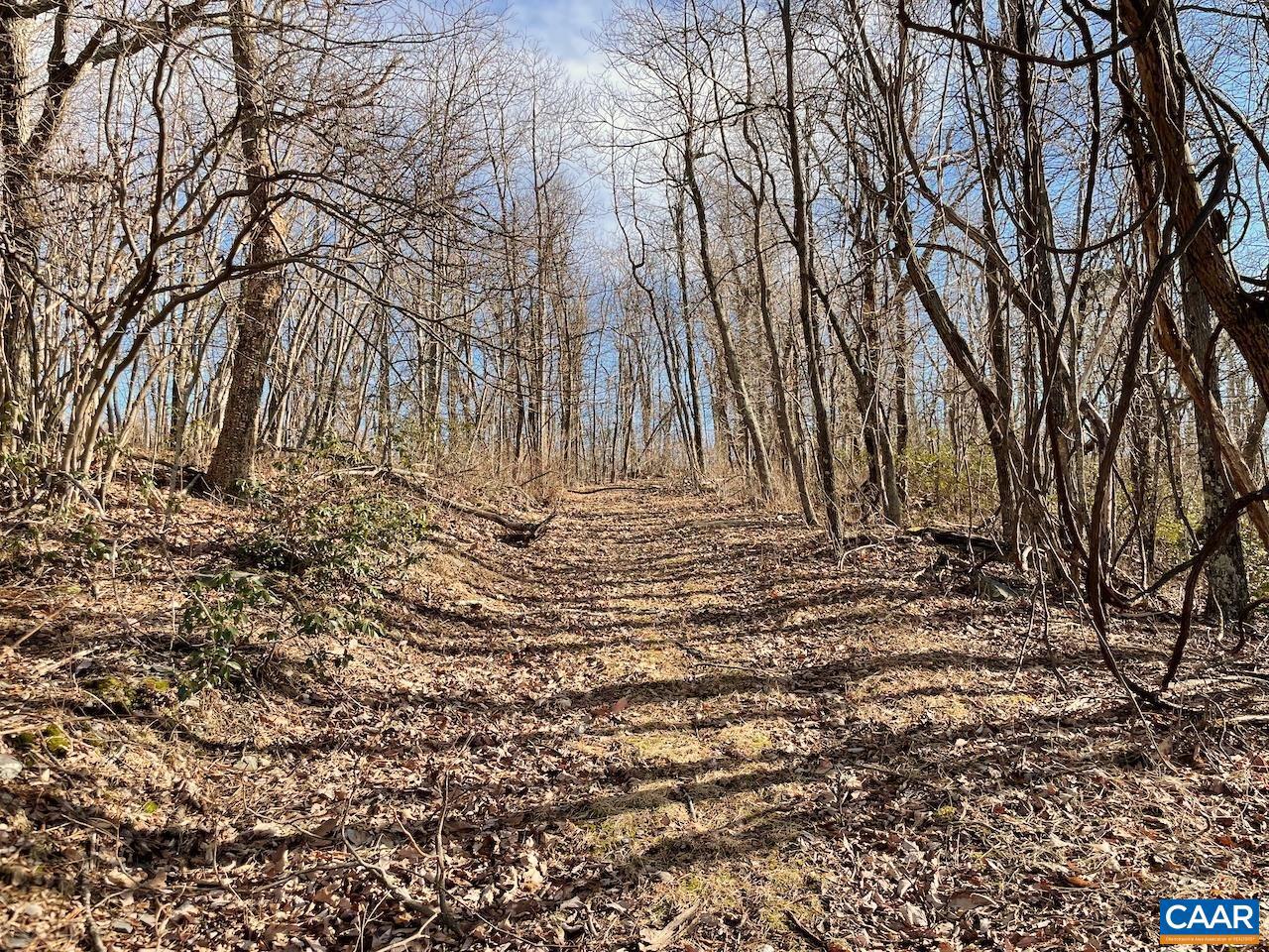 Rockledge Rd #6 Property Photo 3