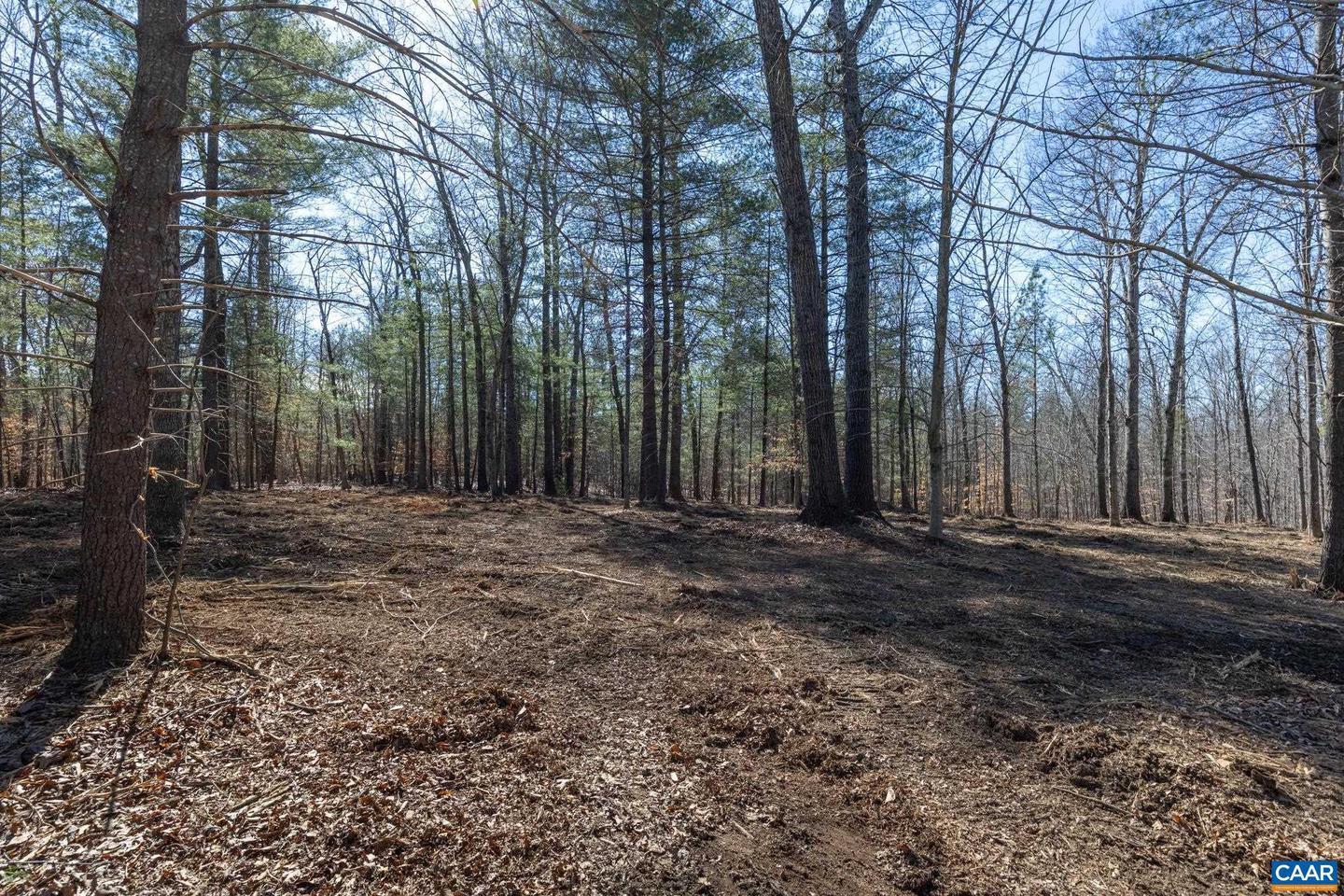 Lot 4 Gilbert Station Rd #4 Property Photo 3