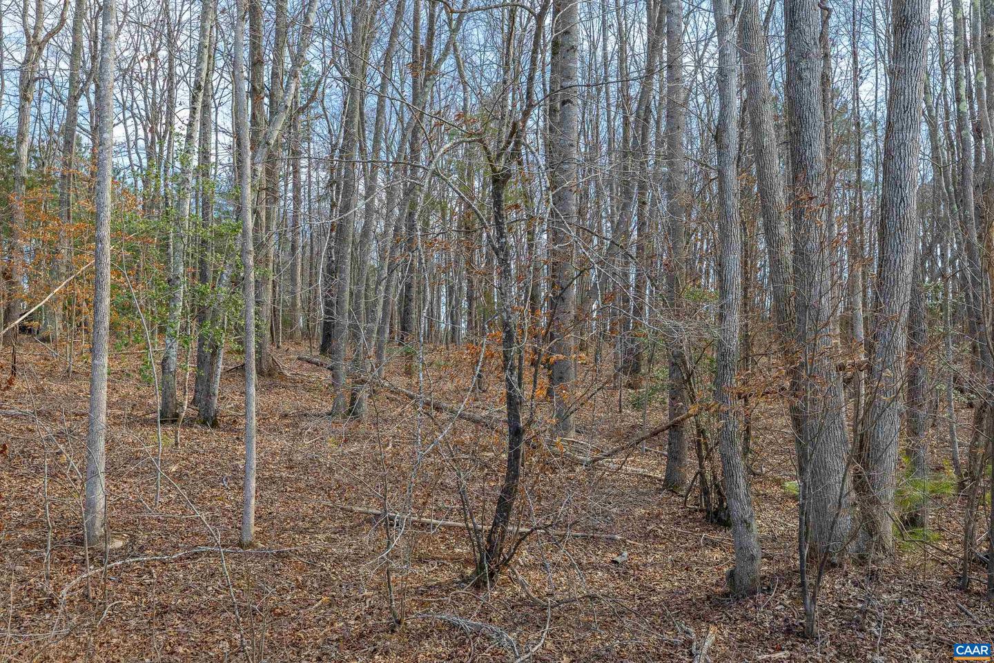 Tbd Bible Way Rd Property Photo