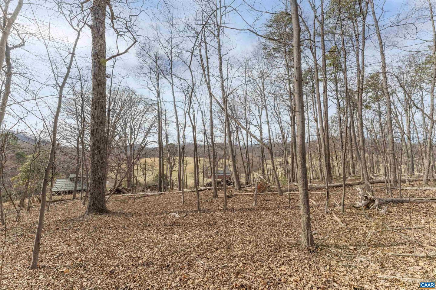 Tbd Winsome Orchard Ln #d6 Property Photo