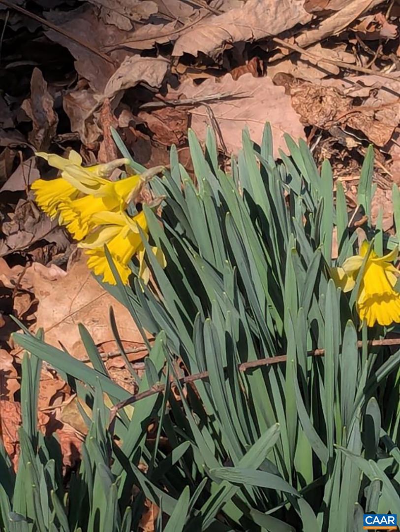 2005 Upper Stony Run Property Photo 24