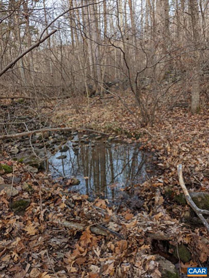 2005 Upper Stony Run Property Photo 25