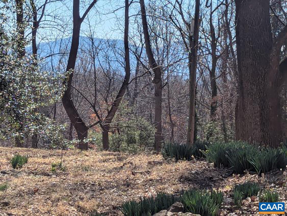 2005 Upper Stony Run Property Photo 28